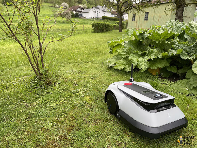 Der ECOVACS Goat G1-800 Mähroboter fährt im Test seine Bahnen durch den Garten.